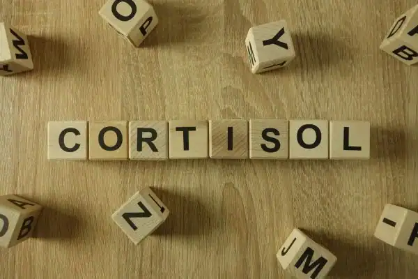 The Hidden Connection: How Stress Shapes Your Fitness and Body Composition 2 Image saying "Cortisol" and how stress Eccles impacts your wellbeing and bodies shape